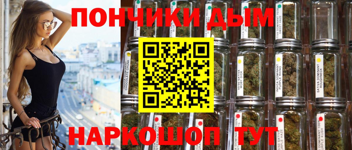 Канабис сатива Салехард